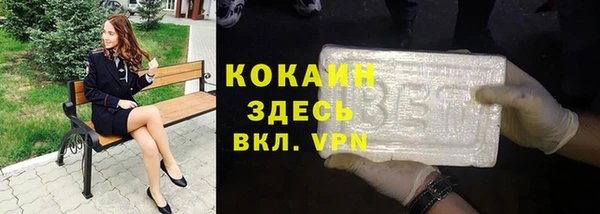 прущие грибы Верхний Тагил