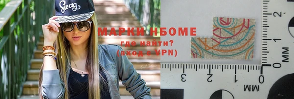 прущие грибы Верхний Тагил