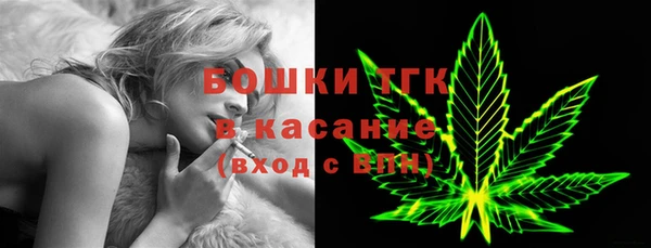 прущие грибы Верхний Тагил