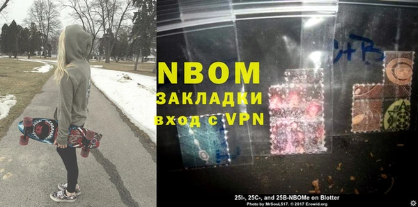 прущие грибы Верхний Тагил