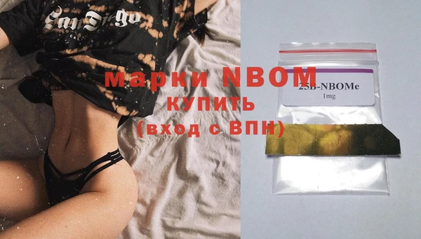 прущие грибы Верхний Тагил