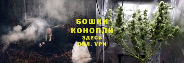 дурь Верея