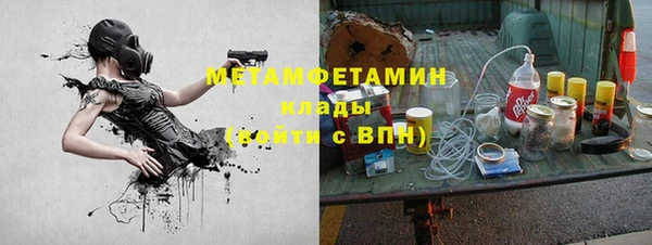 прущие грибы Верхний Тагил
