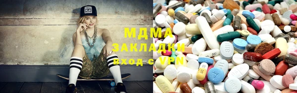 прущие грибы Верхний Тагил