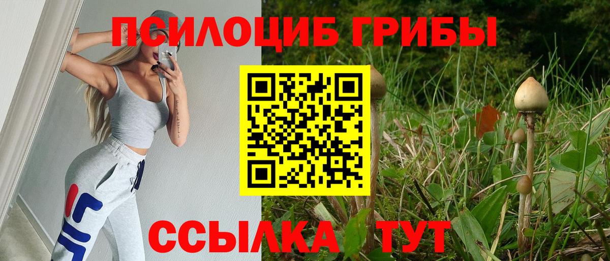 Галлюциногенные грибы Magic Shrooms  Псилоцибиновые грибы Psilocybine cubensis  Вход с VPN  Дагестанские Огни 